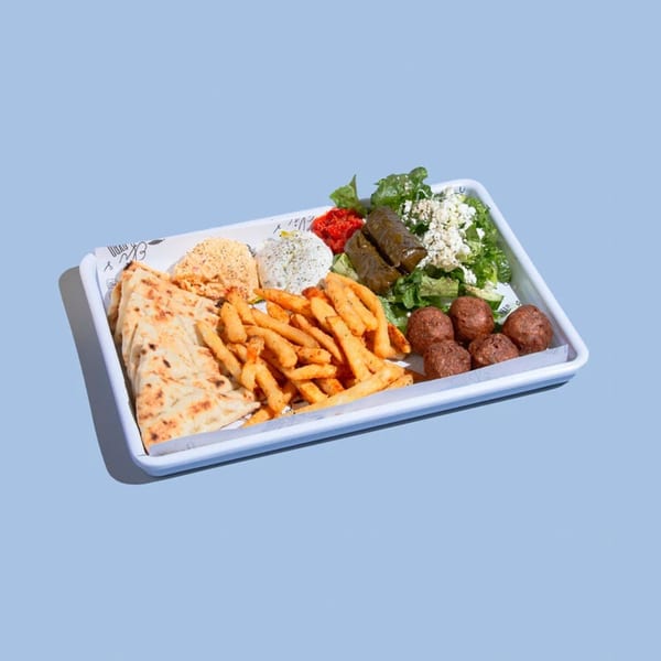 Efi's Gyro platter with pita, fries, hummus, tzatziki, dolmades, salad, and falafel.